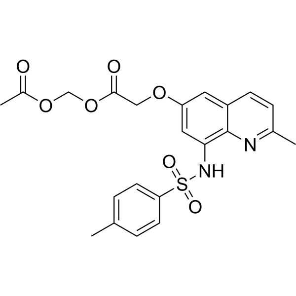 Zinquin AM ester 181530-16-5
